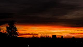 橙色云层上树木的轮廓