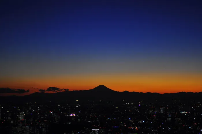 日本，富士山，天树，天空，城市，建筑外观，建筑，城市景观