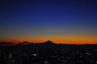 日本，富士山，天树，天空，城市，建筑外观，建筑，城市景观