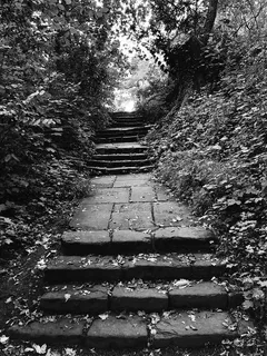 德国斯图加特beim höhenfreibad 37树木公园森林植物道路