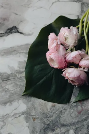 2018年《Vogue波兰2》与可爱的毛茛花