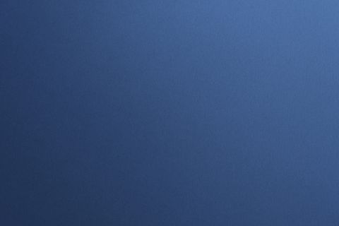 婴儿蓝桉树，空白，蓝色，蓝色背景，植物，分支，品牌，品牌