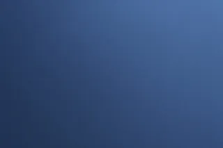 婴儿蓝桉树，空白，蓝色，蓝色背景，植物，分支，品牌，品牌