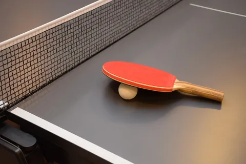 乒乓球,乒乓球,乒乓球,蝙蝠,体育,乒乓球,游戏,网络 乒乓球,乒乓球,乒乓球,蝙蝠,体育,乒乓球,游戏,网络