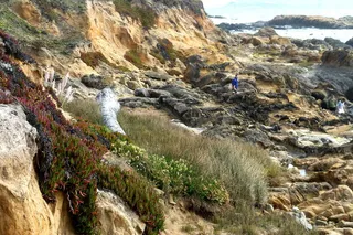 洞穴风化，塔夫尼，洞穴风化，塔夫尼，洞穴风化，豆谷海滩，美国加利福尼亚州