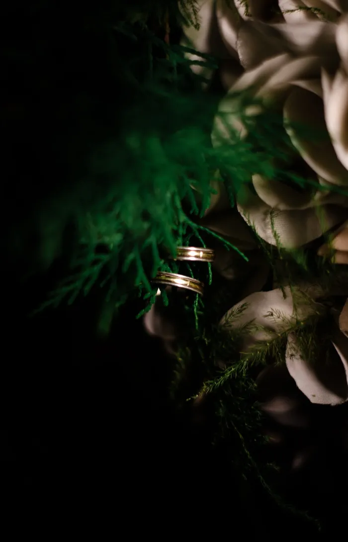 联盟，戒指，婚姻，爱情，戒指，新郎，婚礼，联盟