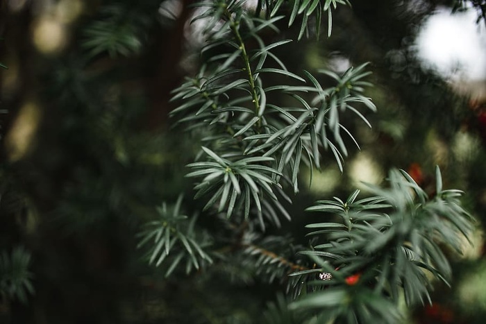 秋季细节