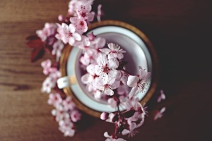 桌上的樱花