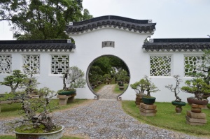 庭院、中式、盆景、植物、建筑、建筑结构、树木、建筑外观