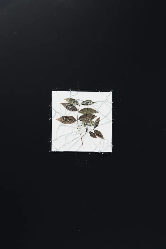 绿叶植物画