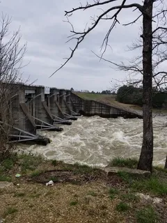 天，植物，树，自然，没有人，云-天，地，水