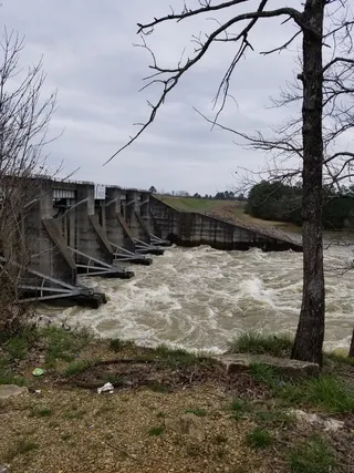 天，植物，树，自然，没有人，云-天，地，水