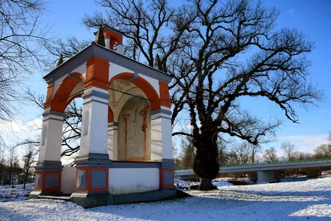 教堂、雪、冬天、捷克*、树木、建筑、建筑结构、植物