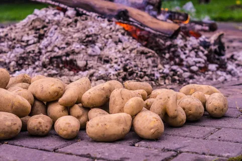 土豆火，土豆烤，余烬，吃，喝，秋天，土豆，传统