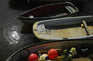 船，海，海洋，水，自然，心情，假期，食物