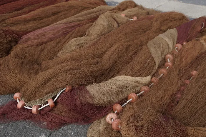 渔网，渔网，干，菲舍尔，捕鱼，港口，干网，海岸