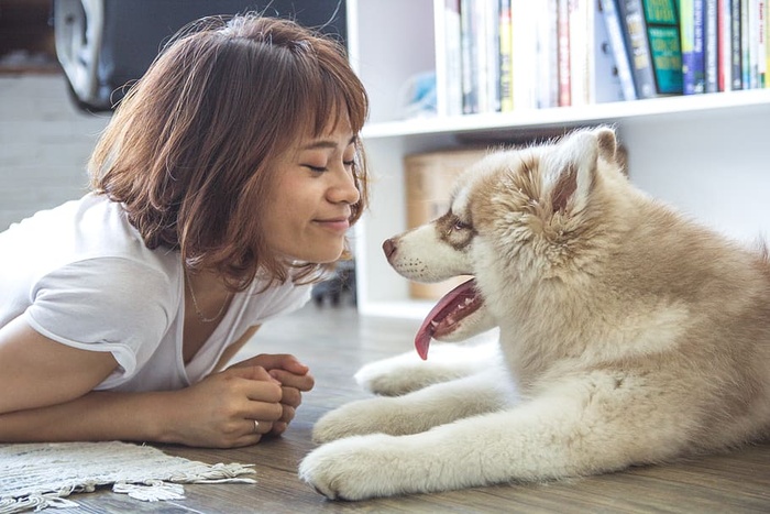 躺在西伯利亚哈士奇小狗旁边地板上的女人