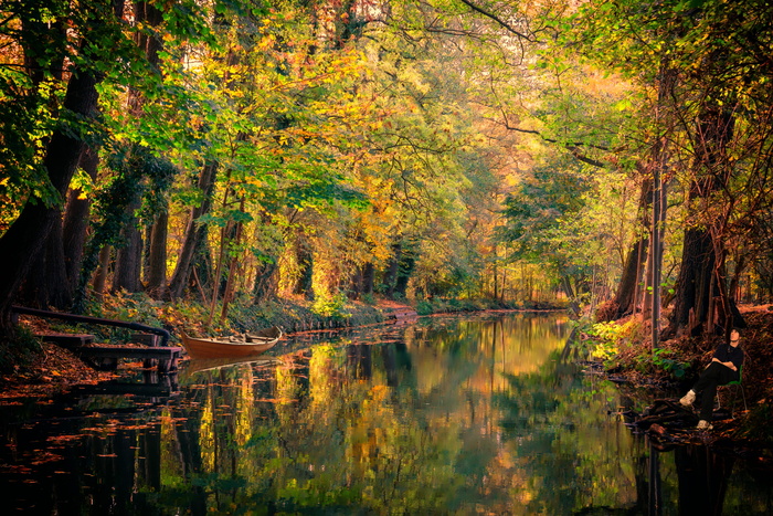 spreewald、水、通道、景观、深度、树木、森林、自然