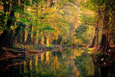 spreewald、水、通道、景观、深度、树木、森林、自然 spreewald、水、通道、景观、深度、树木、森林、自然