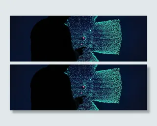 缓冲区、苍蝇、黑色、单人、成人、腹部、摄影棚拍摄、室内