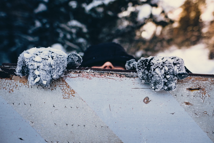人，人，鼻子，雪，冷，树，波基，模糊