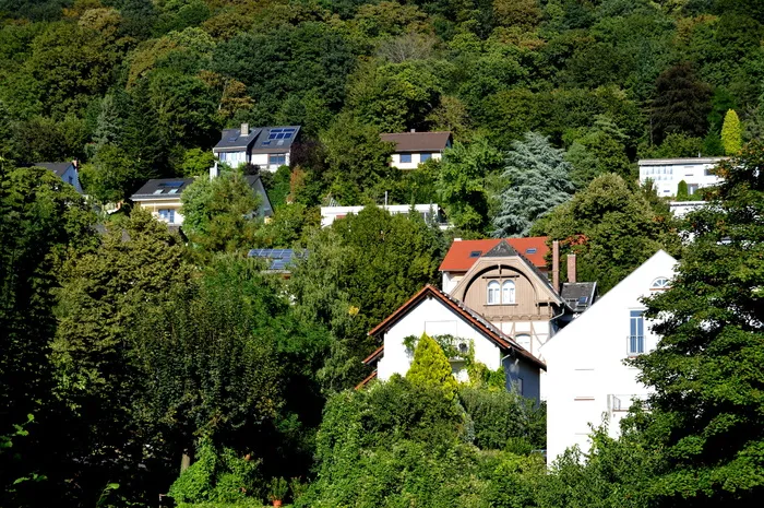 海德堡，生活，森林，家园，建筑，立面，城市，房屋