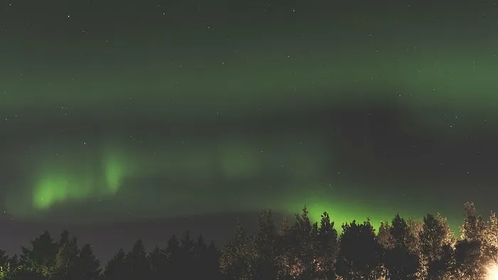 浅层，聚焦摄影，树木，灌木，极光，绿色，空间，星星