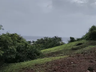 印度，流浪者，绿色，雾，雨，海滩，微风，寒冷