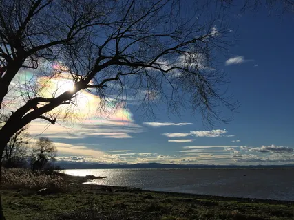湖,康斯坦斯,巴伐利亚州,湖,康斯坦斯,海,自然,树,风景 湖,康斯坦斯,巴伐利亚州,湖,康斯坦斯,海,自然,树,风景