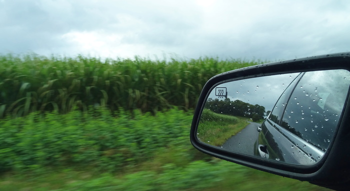 夏天，自然，草地，户外，旅行，道路，潮湿，下雨