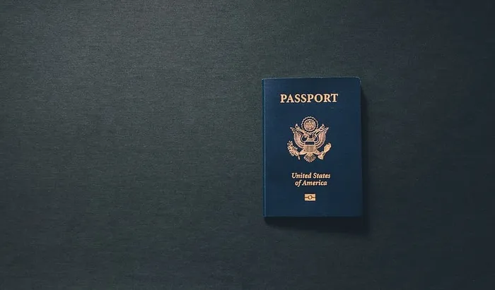 护照id，黑色，铺地毯，表面，护照，美国，公民身份，旅行