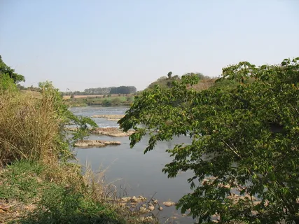 River,Groupie,巴西,River Groupie,tree,plant,nature,day River,Groupie,巴西,River Groupie,tree,plant,nature,day