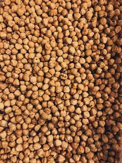 坚果、植物、食品、蔬菜、地毯、农产品、豆类、榛子 坚果、植物、食品、蔬菜、地毯、农产品、豆类、榛子