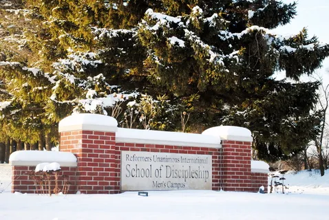 白天靠近树的棕色混凝土墙砖