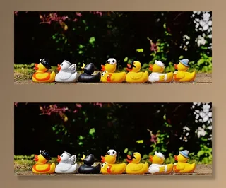 特写摄影，对齐，黄色，白色，黑色，橡胶小鸭，绿色，树木