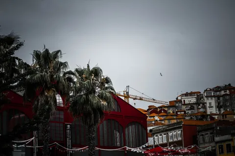 葡萄牙，波尔图，屋顶，建筑，房屋，城市，棕榈，城市景观