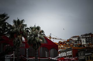 葡萄牙，波尔图，屋顶，建筑，房屋，城市，棕榈，城市景观