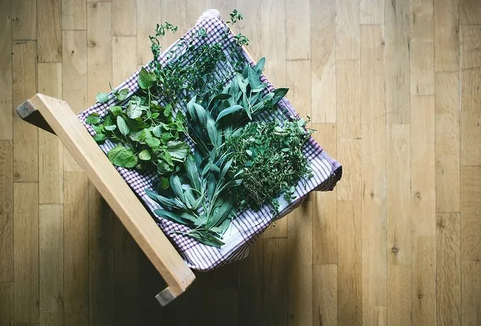 在家里晒草药