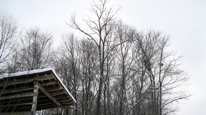 克罗地亚，木材，树木，森林，屋顶，冬天，建筑，雪