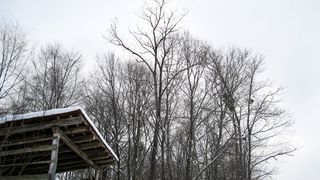 克罗地亚，木材，树木，森林，屋顶，冬天，建筑，雪