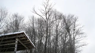 克罗地亚，木材，树木，森林，屋顶，冬天，建筑，雪