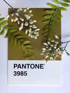 潘通3985海报上的绿色和白色植物