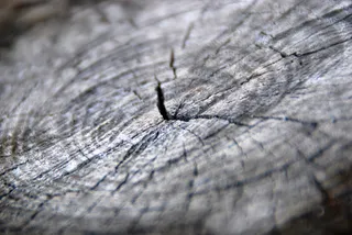 木材，纹理，木材，材料，图案，自然，木材纹理，自然