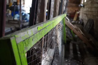 加拿大、wetaskiwin、回忆、碎片、孩子、老人、豌豆、绘画