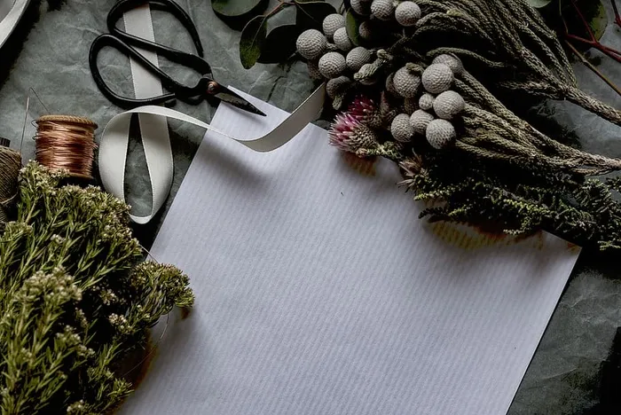 艺术，手工艺，纸，植物，绿色，剪刀，丝带，静物