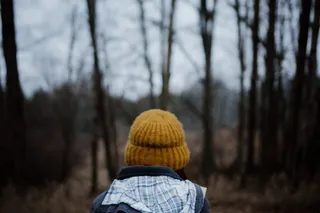 树，后视图，森林，帽子，土地，衣服，头像，冬天