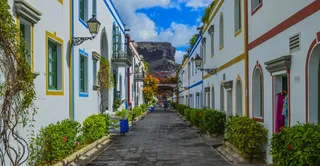 房屋之间的道路、道路、胡同、房屋、建筑物、建筑、客场、鲜花