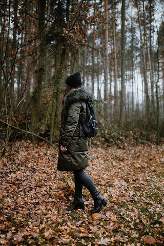 秋天在雾天向森林走去