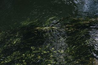 河流，水，水流，自然，背景，液体，抽象，潮湿