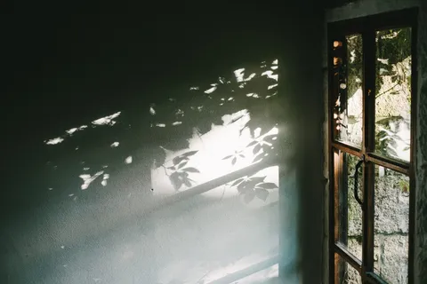 遮阳、穿孔、封闭、4-lite、4-lite窗格玻璃、房屋、门、把手 遮阳、穿孔、封闭、4-lite、4-lite窗格玻璃、房屋、门、把手